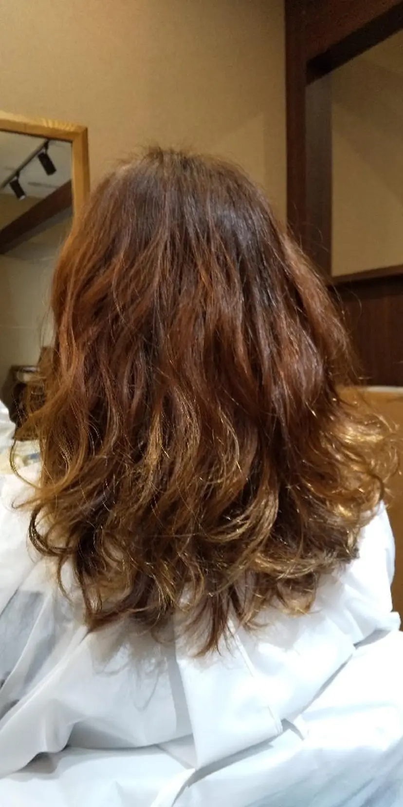 朝山 陽介の掲載