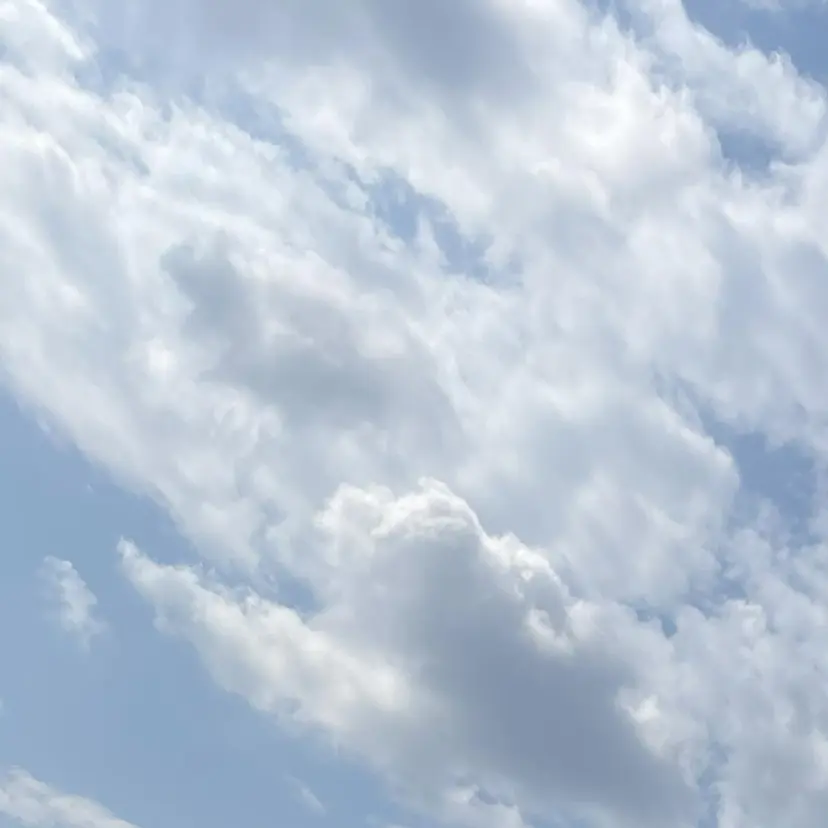 中嶋 玲奈の掲載