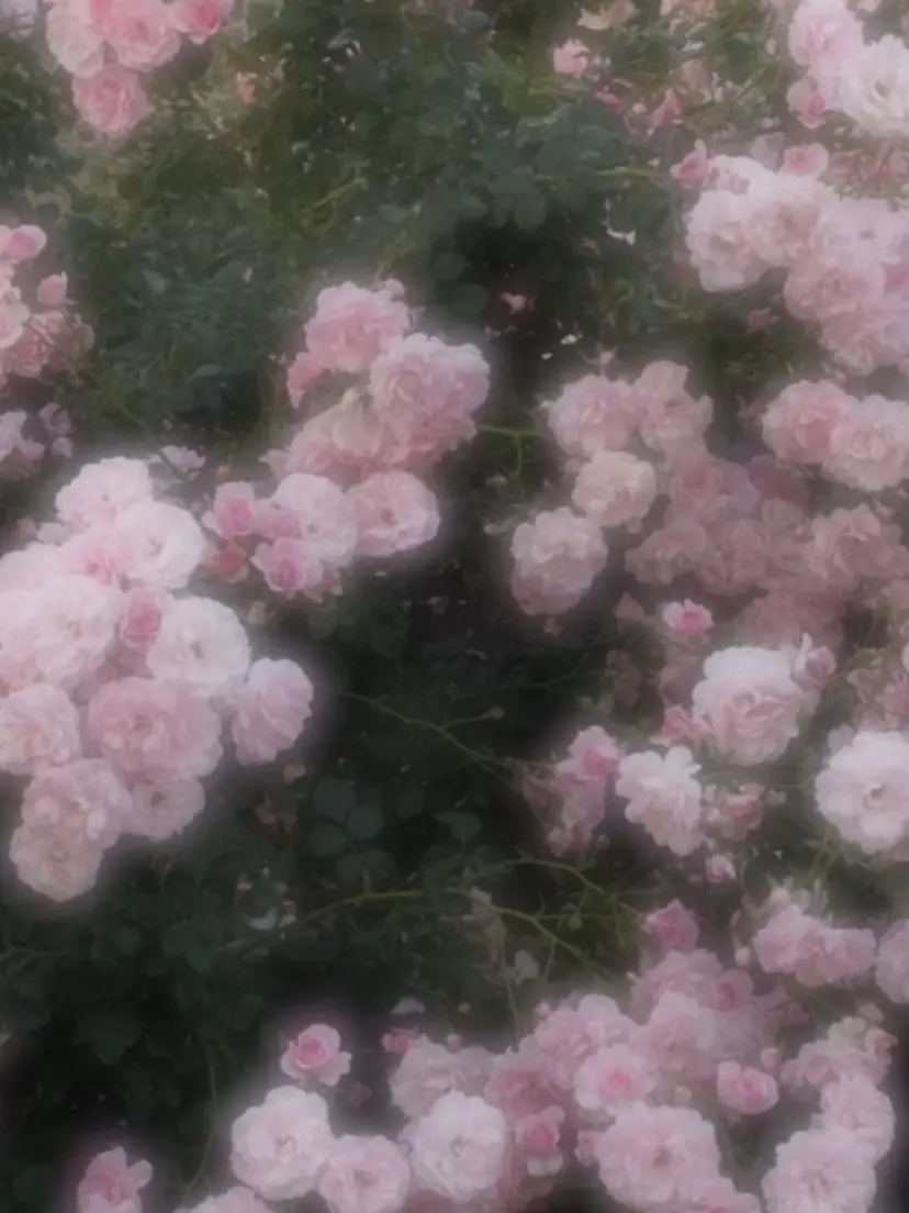 girly❤︎暖色ヘ ア➰🎀HINANOの掲載