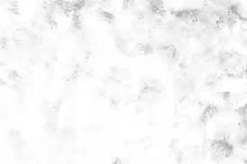 辻 由利花の掲載