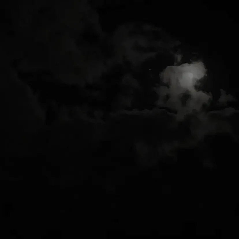 仲田 麻倫の掲載