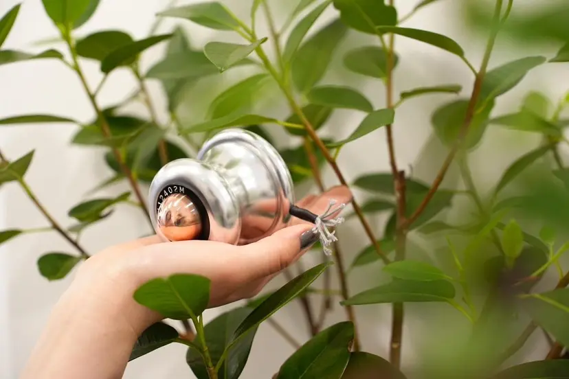 ボディケアサロン Lea 自由が丘店の掲載