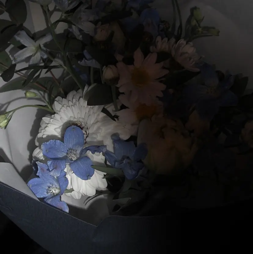 齋藤 有珠の掲載