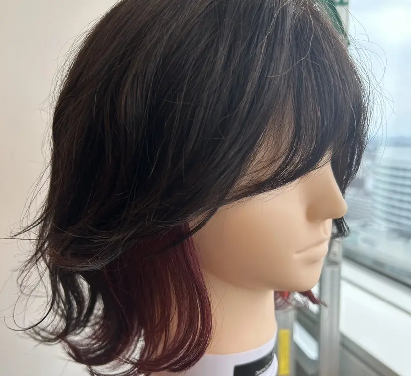 若見 直樹の掲載