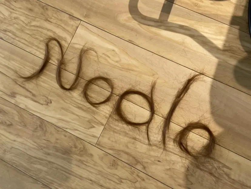 Total beau ty  Noaloの掲載