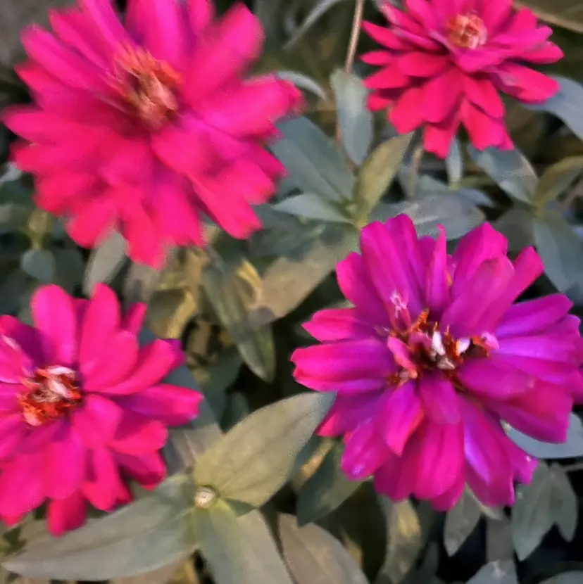 宮古／ little 下長の掲載