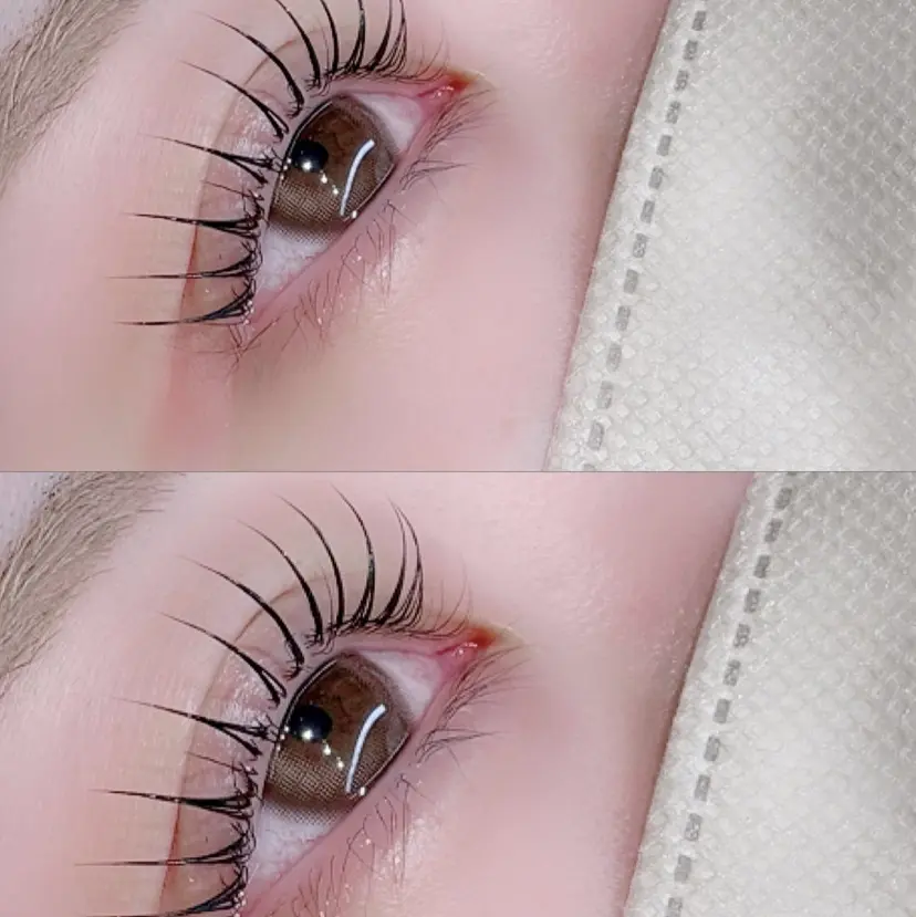 north pole 三条の掲載