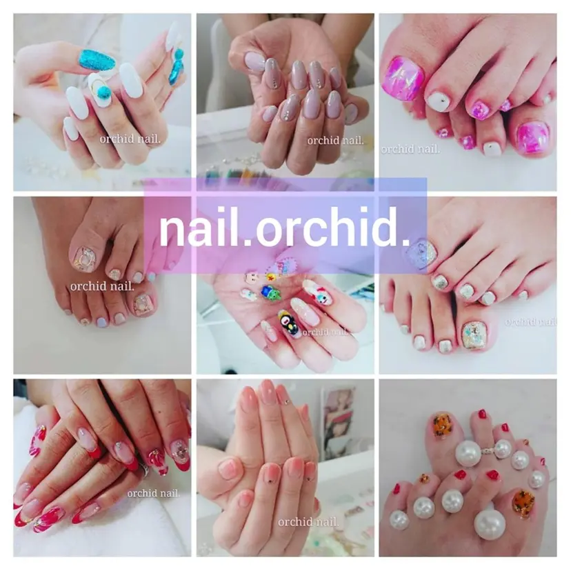 orchid ♡オーキッドの掲載