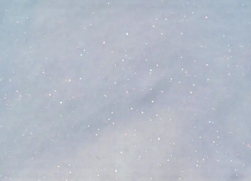 reina /練習モデル様募集中の掲載