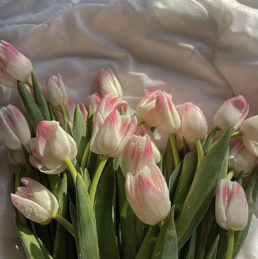 kitin 吉祥寺 山岸花の掲載