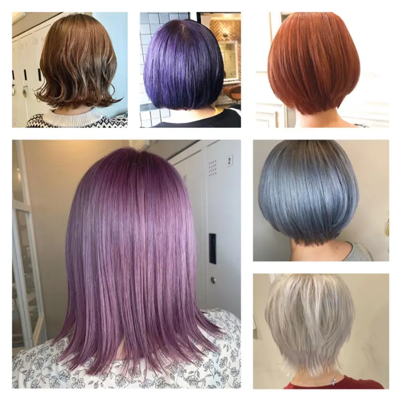 高木 陽平の掲載