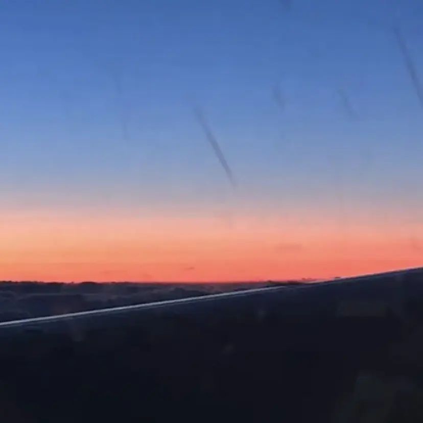 阿部 美波の掲載