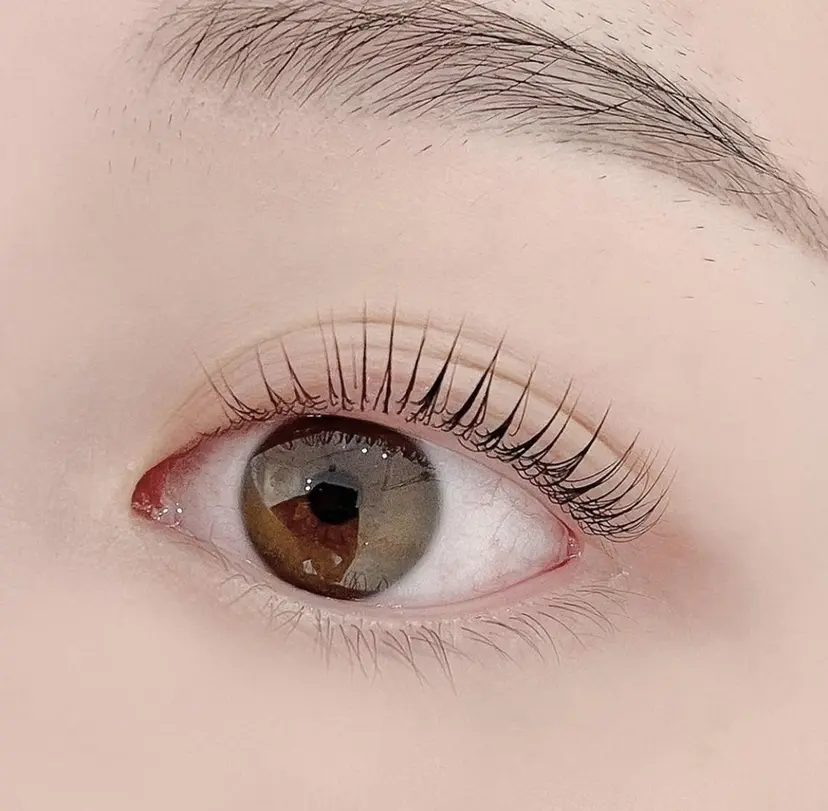 イ ギョンアーの掲載