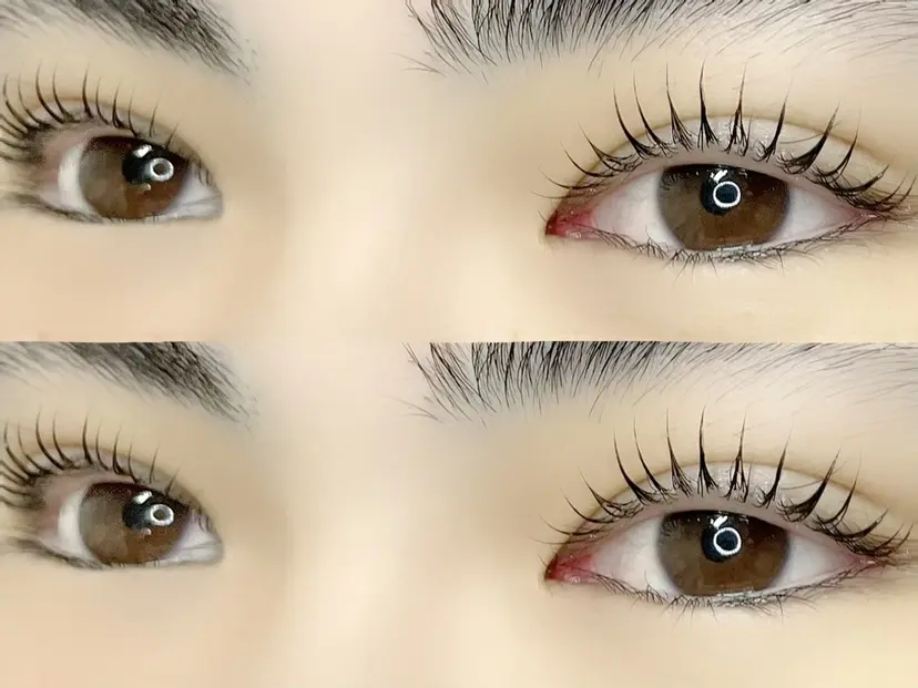 eyelash CLAYの掲載