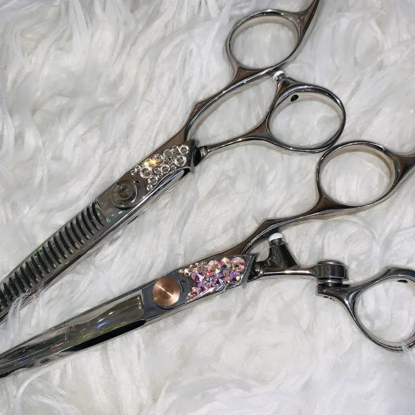 川上 紗也加の掲載