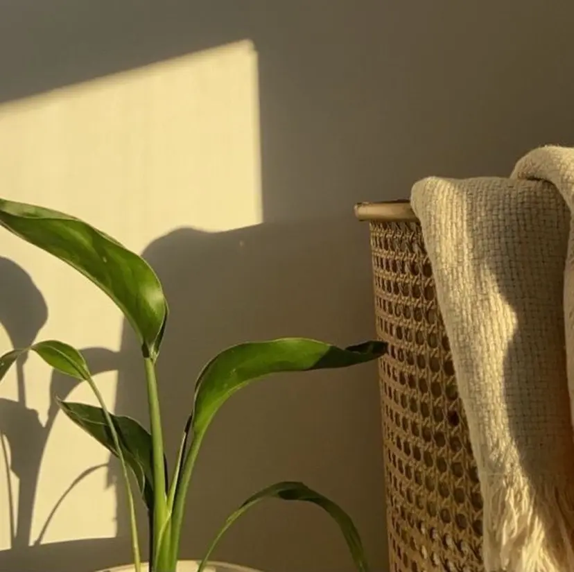 韓国ｶﾞｰﾘｰ 🎀ミスズ🩰の掲載