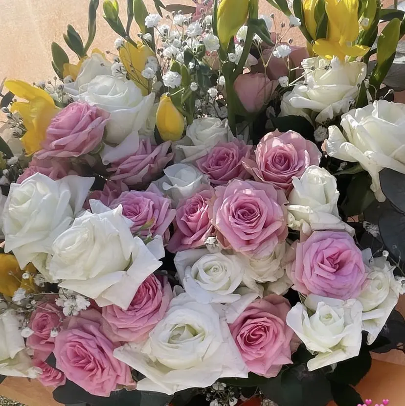 𝒾𝓀𝑜𝒾 *:.｡.☆の掲載