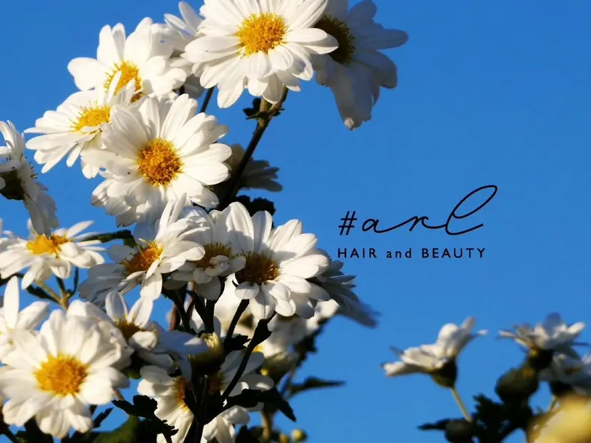 木村 綺音の掲載