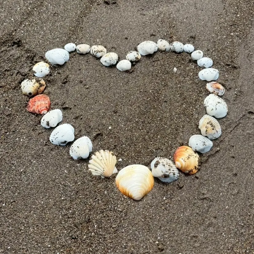 上須田 なえの掲載