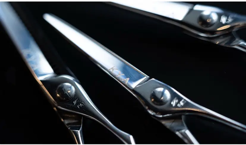 岩内 皓大の掲載