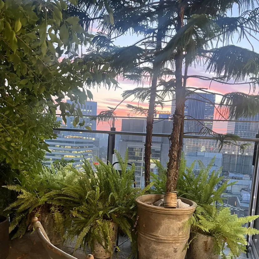 東茉央/ブリーチ リタッチ🧸銀座の掲載