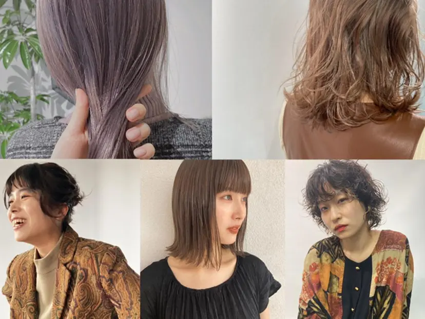 佐伯 和佳の掲載