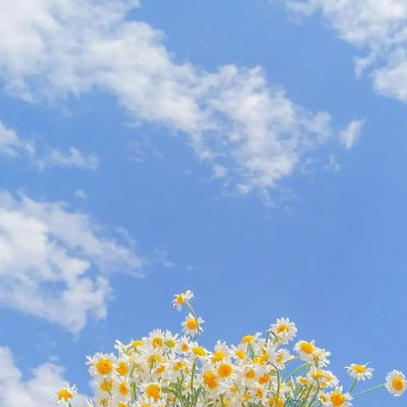 アイブロウ/HBL 🦄MEMEの掲載