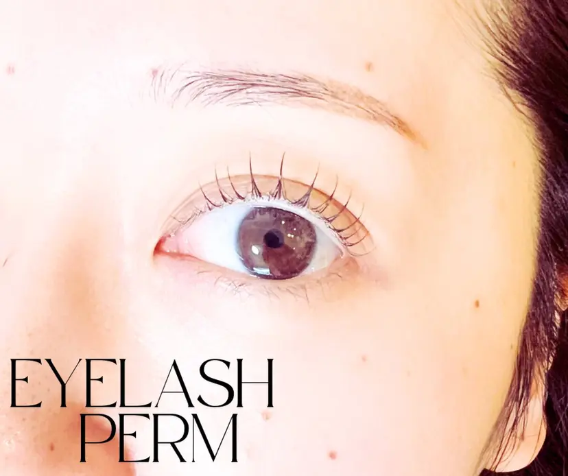 真下 美穂の掲載