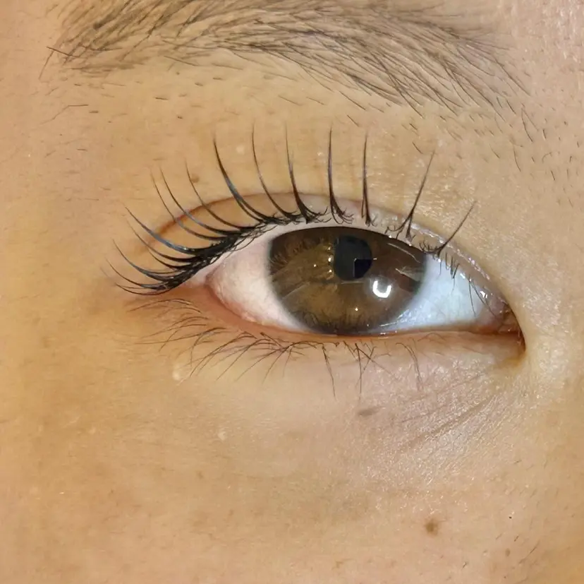 Roy's lash ♡　AYAの掲載