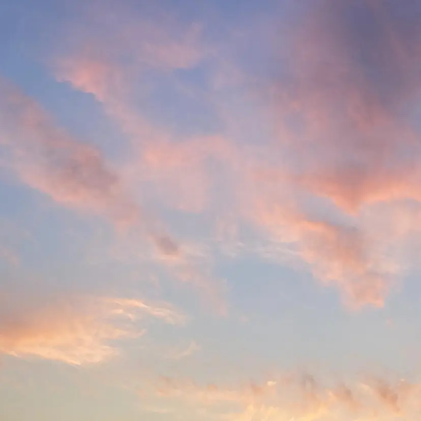 小林 実郁里の掲載