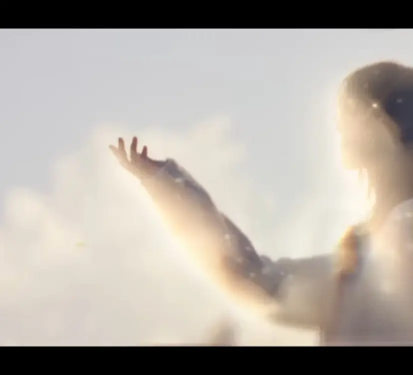 あやめ🪽 オリーブ/ハイトーンの掲載