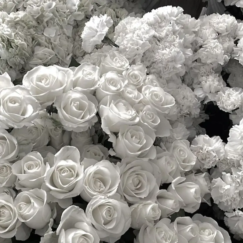 俣野 朋子の掲載