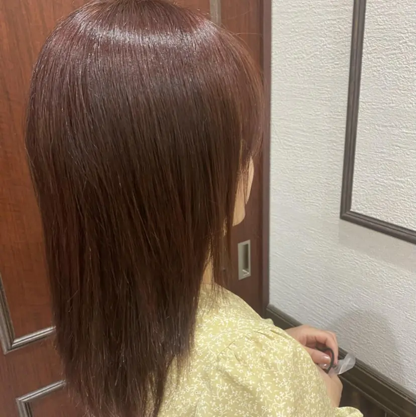 佐藤 優衣の掲載