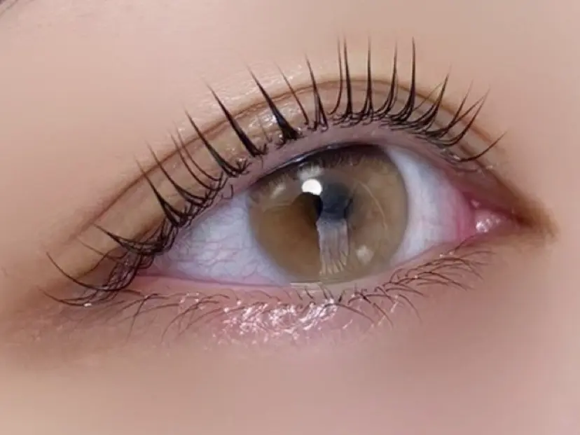 益子 舞子の掲載