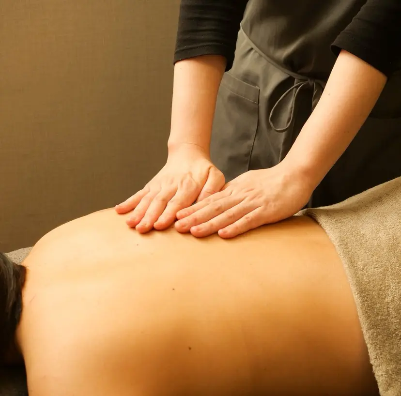 yomo me! ヨモミーの掲載