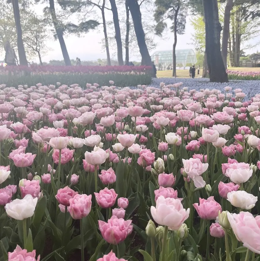 前髪XP／艶カラー ／🎀Ayuka🎀の掲載