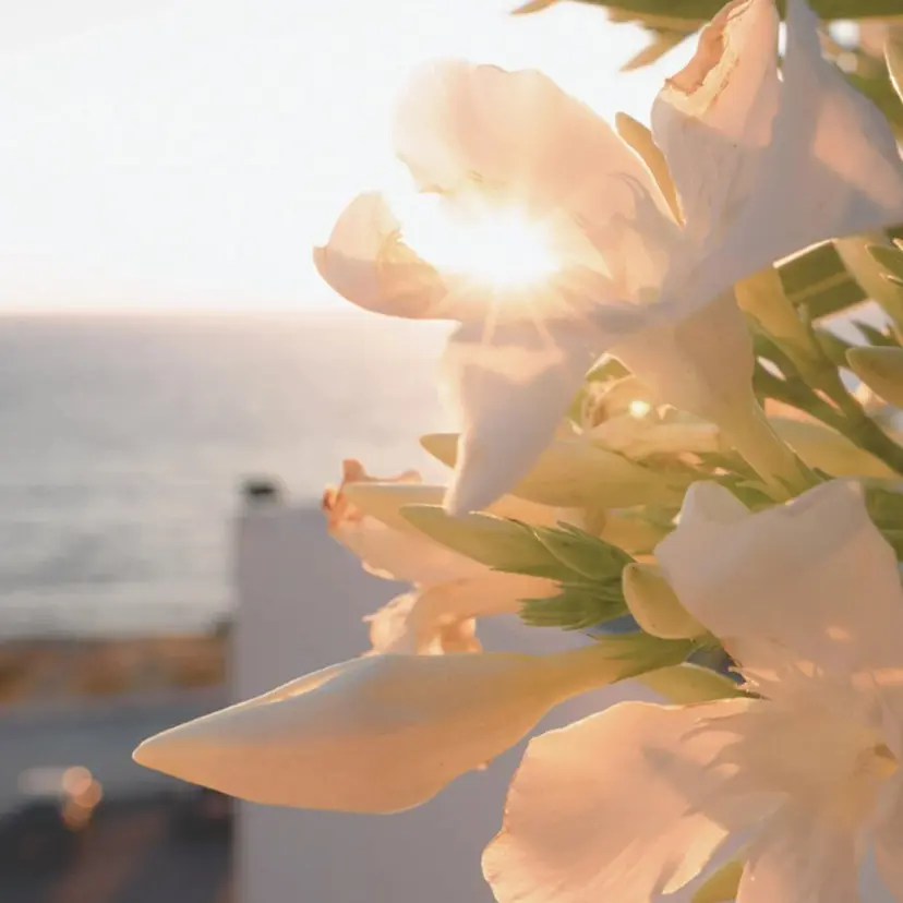 工藤 彩花の掲載