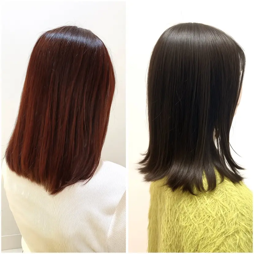 吉永 百合香の掲載