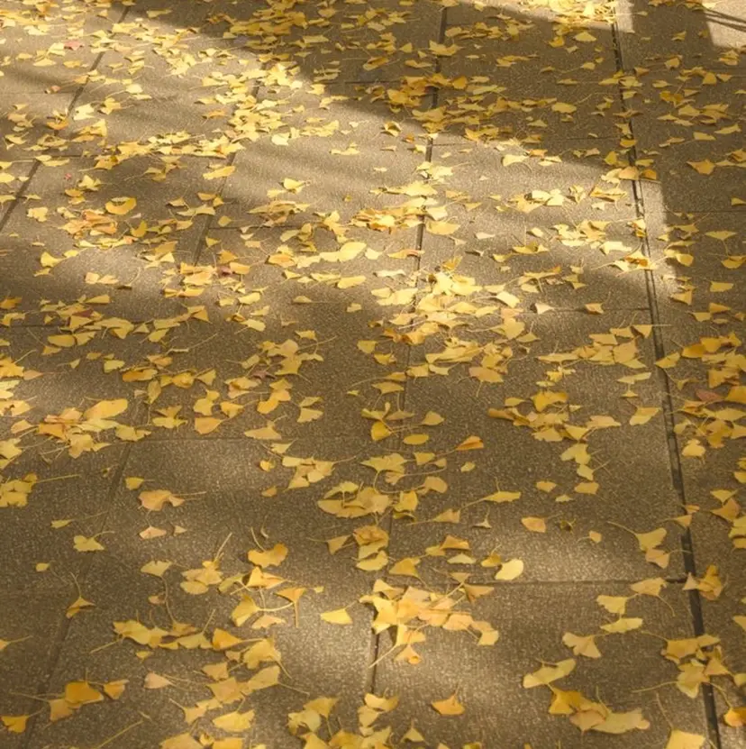 メンズ特化/ 高谷将希の掲載