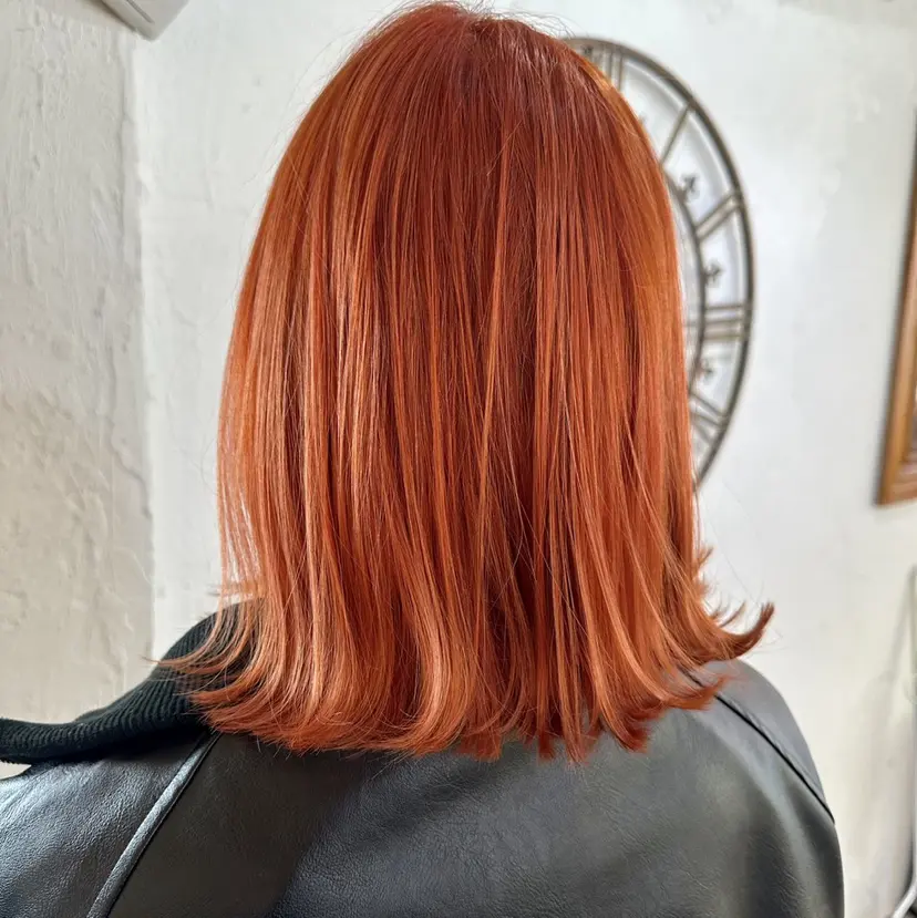 🌱工藤たいかい Lost  Cityの掲載