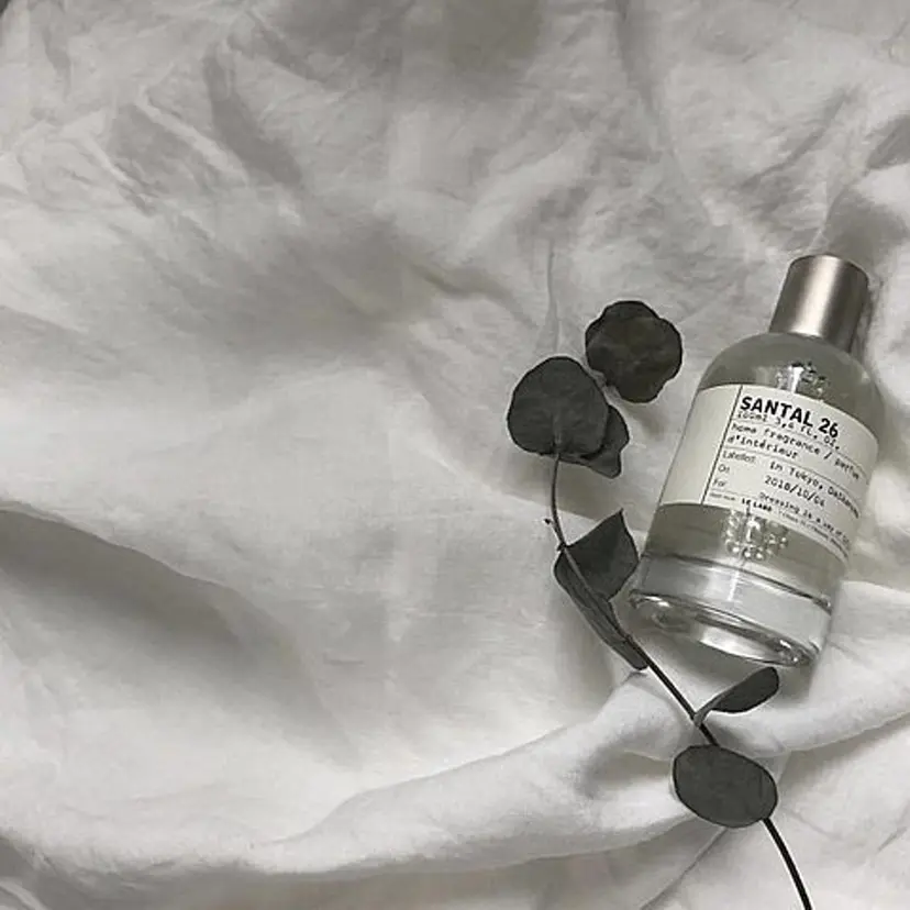 鈴木 真帆の掲載