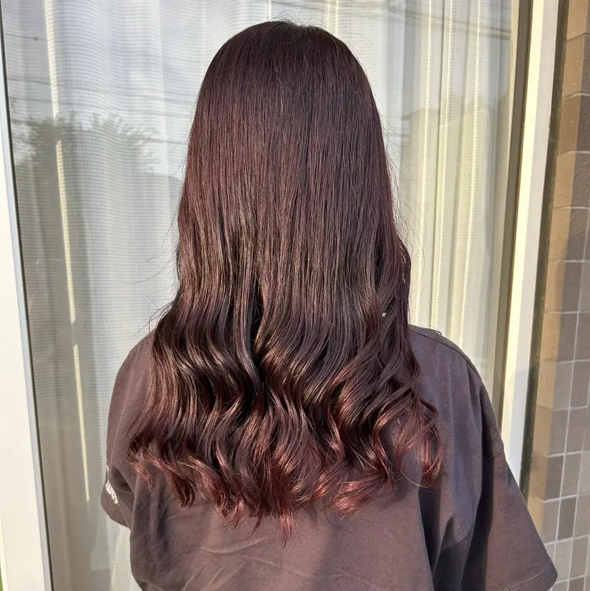 野田 千聖の掲載