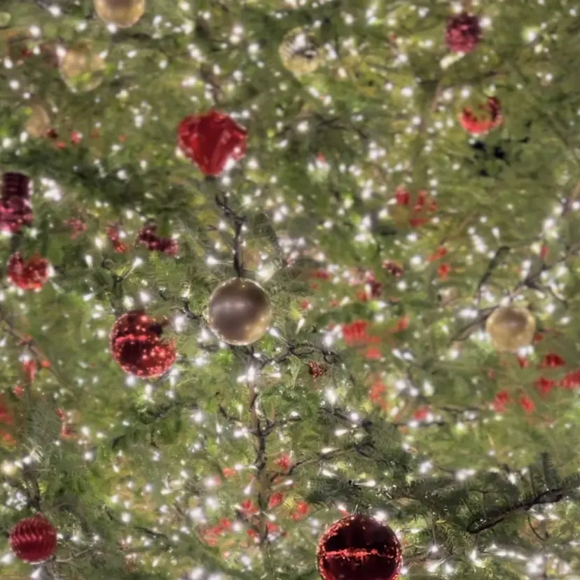 もえ こーんの掲載