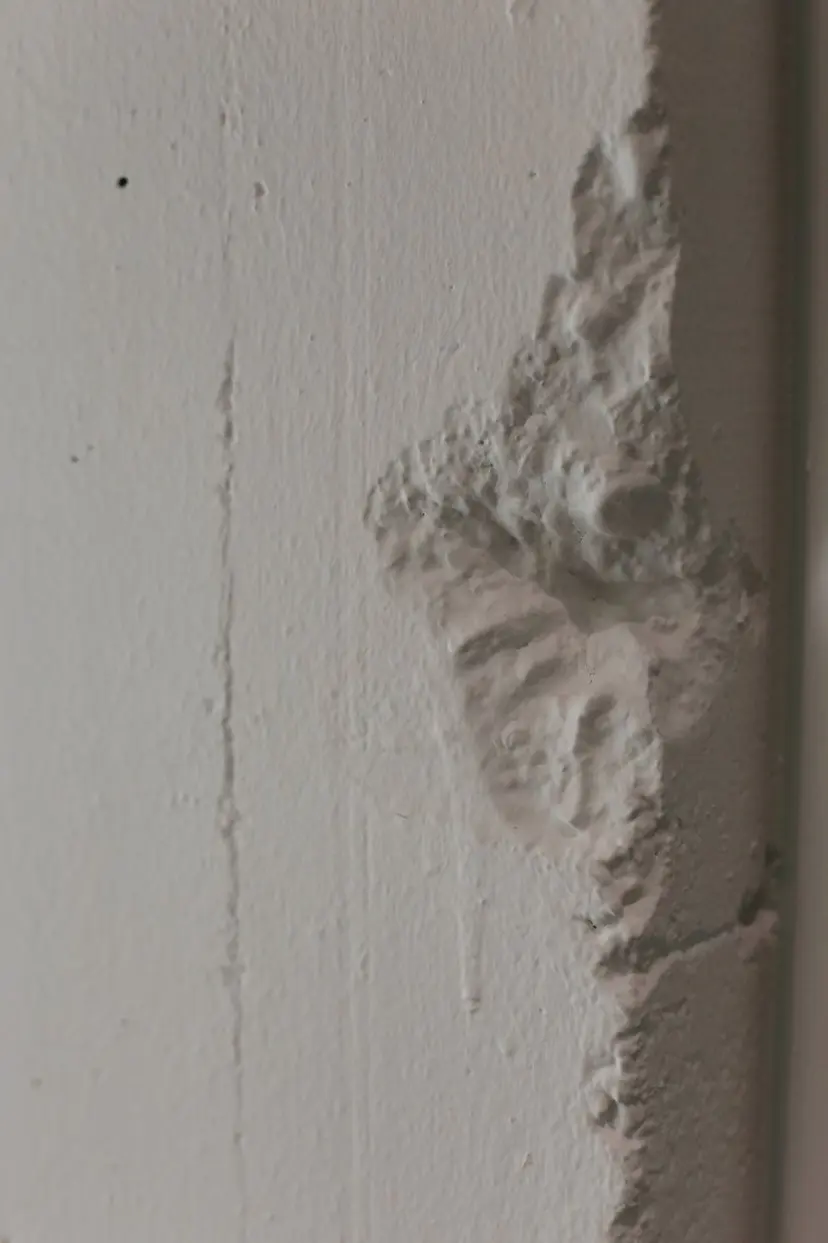 藤澤 ヤスヒロの掲載