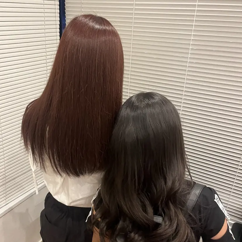 藤原 智恵の掲載