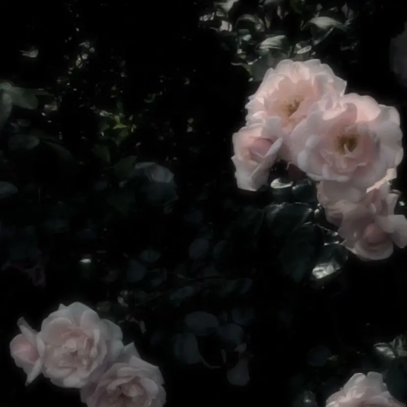 透明感♥韓国ヘア HINAの掲載