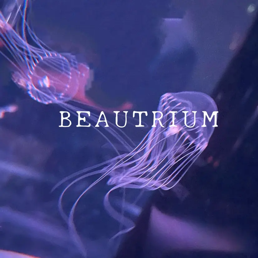 🌷パーマ nanami🌷の掲載