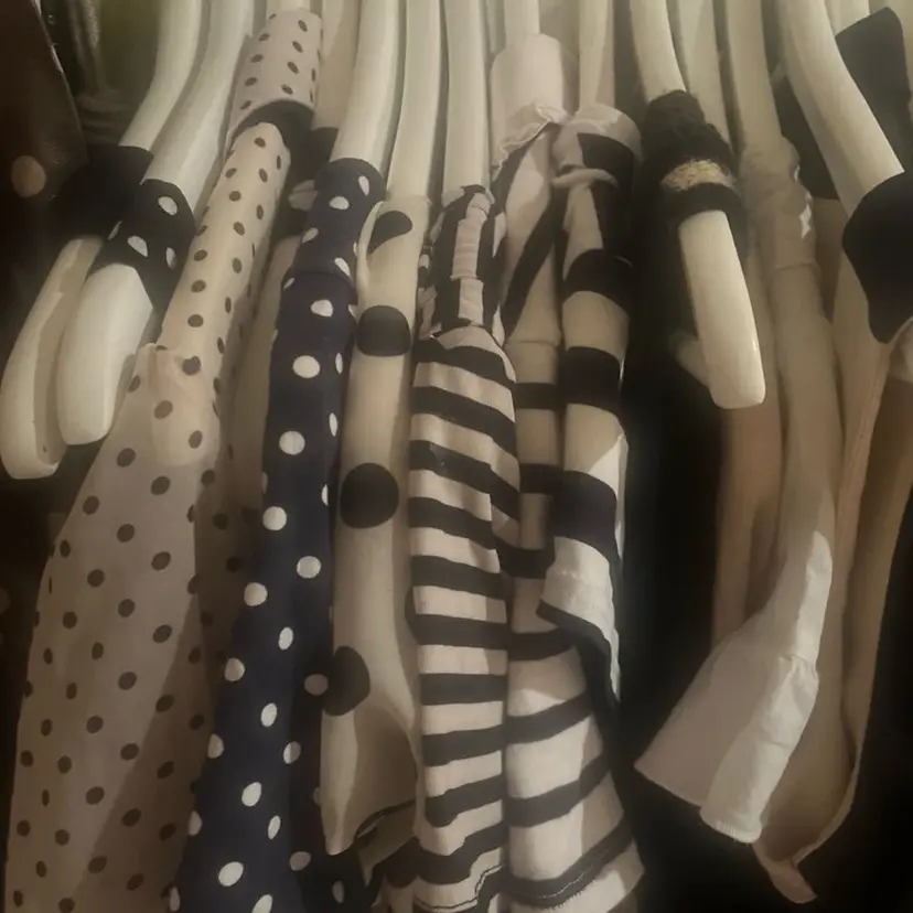 浪岡 咲花の掲載