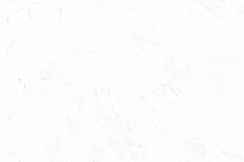 中川 真帆の掲載