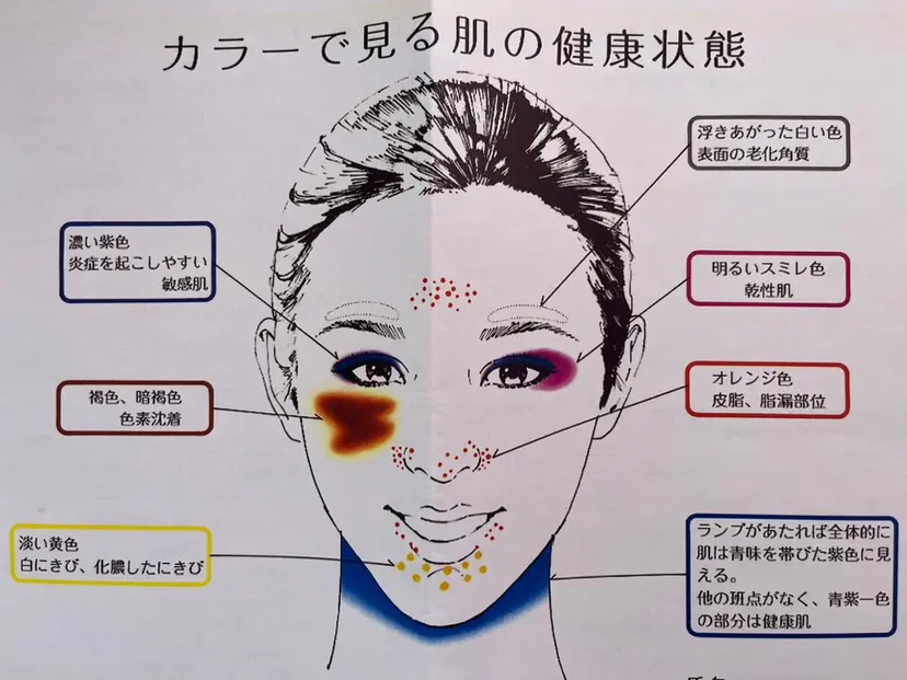 武河 千春の掲載